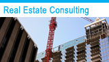 Real Estate Consulting